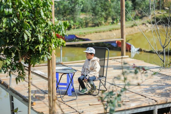 Mutuelle chien : comment choisir la meilleure couverture pour votre animal